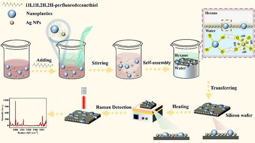 表面增強(qiáng)拉曼散射檢測新策略及其在自然科學(xué)研究和試驗(yàn)發(fā)展中的應(yīng)用前景